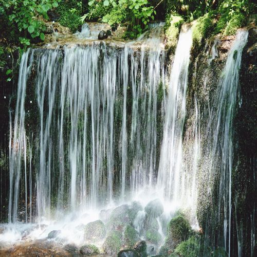 sacks19's profile picture. i love musicJayne Obrien