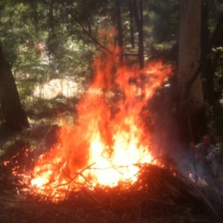 felixw108's profile picture. Yo.