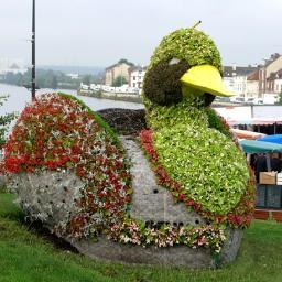 Creildabord's profile picture. #Creil d'abord - Fiers d'être #creillois - Fiers de notre ville !