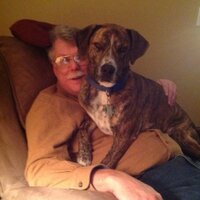 Mark E Perry (@meperry1) 's Twitter Profile