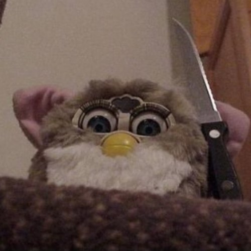 I tweet cool stuff