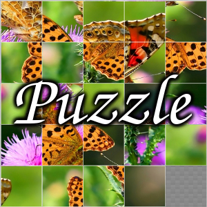 Make puzzle out of any picture and send it to Your friends, or send it as a puzzle gift card! Make Your Own Puzzle!