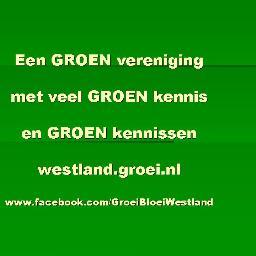 WestlandGroei's profile picture. 