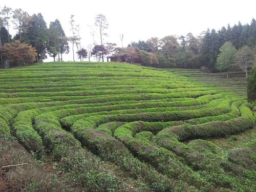 jungho6501's profile picture. 