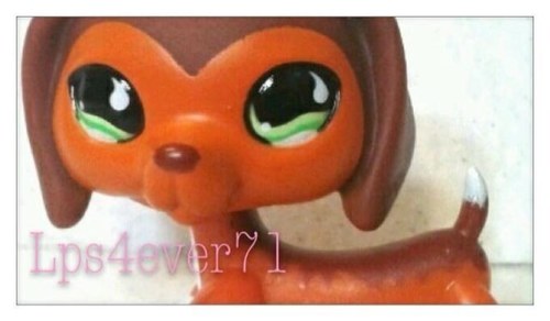 Funny and loves lps
