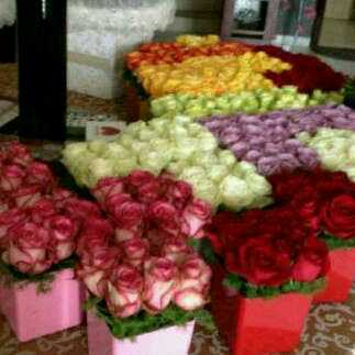 maxzead's profile picture. 