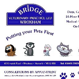 Bridge Vets opened in 1986. We provide a personal, caring environment for the treatment and well being of your pets. Please contact us on 01603 783920