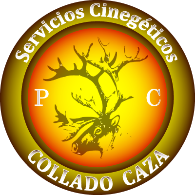 Image result for collado caza