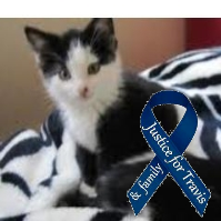 CATFUNKHOUSER's profile picture. The price of freedom is eternal vigilance
........ allegedly Thomas Jefferson but this is debated still.