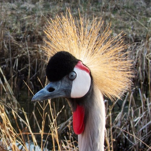 JamieAviator's profile picture. 