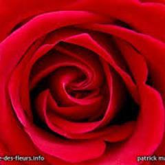 doreta_tania's profile picture. 