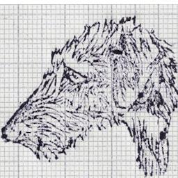 mcFragan's profile picture. 