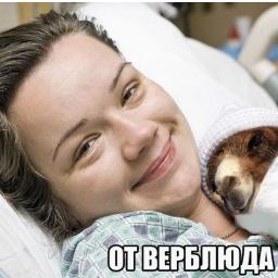 Немного психологического юмора. #Психолог #Психология #Юмор #Отношения #Семья #Муж #Жена