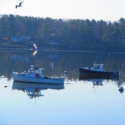 windtracker8's profile picture. 