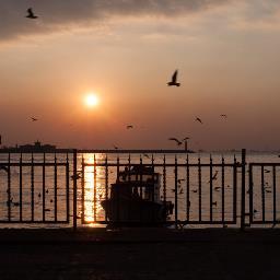 Proje_Grubu's profile picture. Çocuk ve aile konusunda proje çalışması yapıyoruz. A project group dealing with children & families. 
RT/link/takip/follow ≠ onay/endorsement