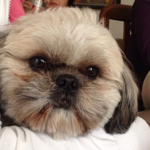 Isidro12ab's profile picture. 