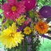 Loretta Alberty (@lorettaalberty) Twitter profile photo