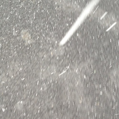 HarryPlatypus's profile picture. pretend to care.... please??