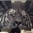 wanda_ho's profile image