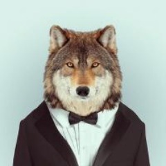 PHP / Symfony2 / Swift / iOS developer.
