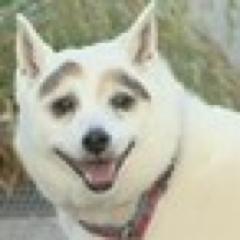 桜が二分咲きのおじさんですw