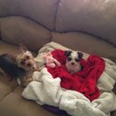 Cathy Hahn - @kittyhahn - Twitter