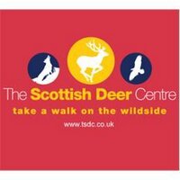 Scottish Deer Centre (@tsdccupar) 's Twitter Profile