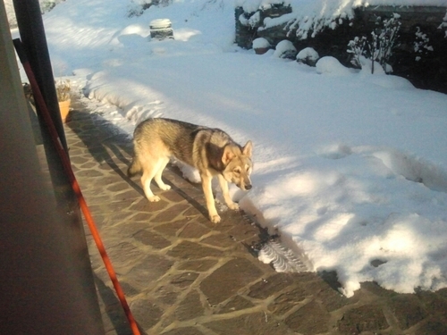 rodolfomarchin's profile picture. 