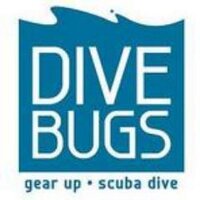 DiveBugs (@hroyed) 's Twitter Profile