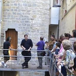 Guía local-Informador turístico. Descubre que Navarra no es sólo los Sanfermines y el Camino de Santiago, que también lo es..