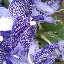 Illingworthsew's profile picture. 