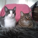 M.Flora Núñez Glez. - @granaflor57 - Twitter