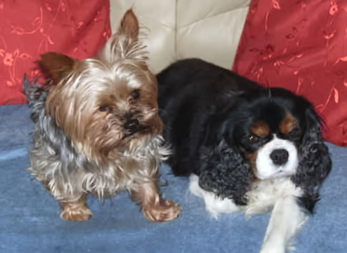 ChristineNobl16's profile picture. Loving Mother and Grandmother who feels like whole life spent in the Jewellery Business