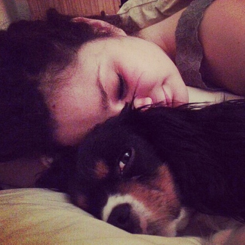 crazy dog lady