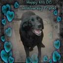 Diane Gorham - @GorhamDiane - Twitter