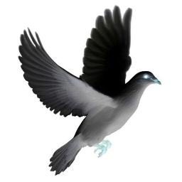Dove Quanta enables organizations turn raw data into actionable information.