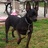JenDiD123's profile image