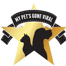 Catch the new pet megastars of You Tube Friday nights at 9pm (repeat on Saturday)