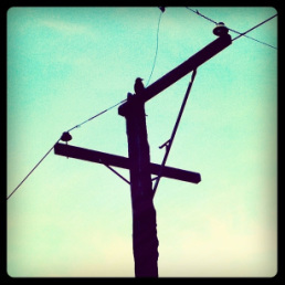 TriumphStProd's profile picture. At Triumph St Productions, we specialize in making passion projects happen no matter what the budget. http://t.co/oqVW9xkoWb