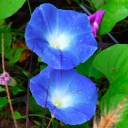 MaryHes94795403's profile picture. Teacher, writer and lake-lover.