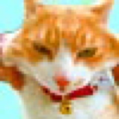 内装リフォーム建築屋。菅又と田崎＋猫/ハチワレぐり猫9歳と三毛ひなこ8歳。猫少ない辛っ。菅又は@origamititi 儂はhttps://t.co/Q2TsBGYjIX