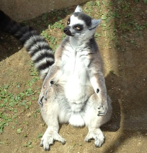 kaercm's profile picture. ユニコーン🦄奥田民生🍜🍛フジファブリック🗻マカロニえんぴつ✐