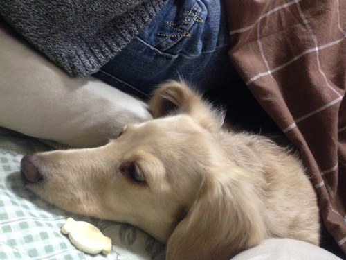 tamdon2013's profile picture. 