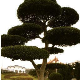 chinamediaproj's profile picture. China-related news and analysis