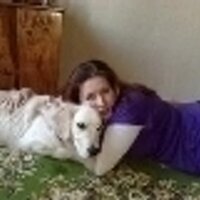 JeremiahChang (@jeremiahchang1) 's Twitter Profile