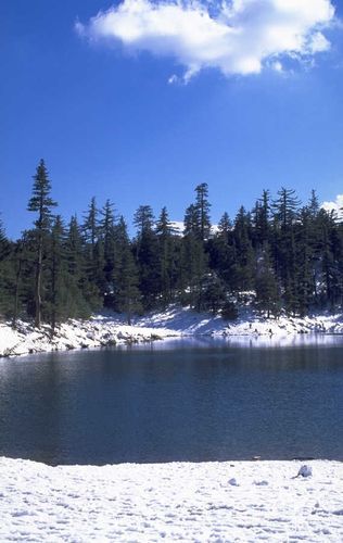 TWhite81's profile picture. I love meeting people aTerrance Whitend making friends