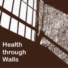 Sustainable prison healthcare in developing countries