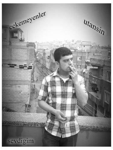 ferhat ay