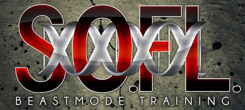Beastmode Training South Florida Llc is not just a bout fitness and living a healthy lifestyle. Its an IDEA. An idea that you can apply to any part of your life