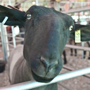 edd moore - @warnation - Twitter